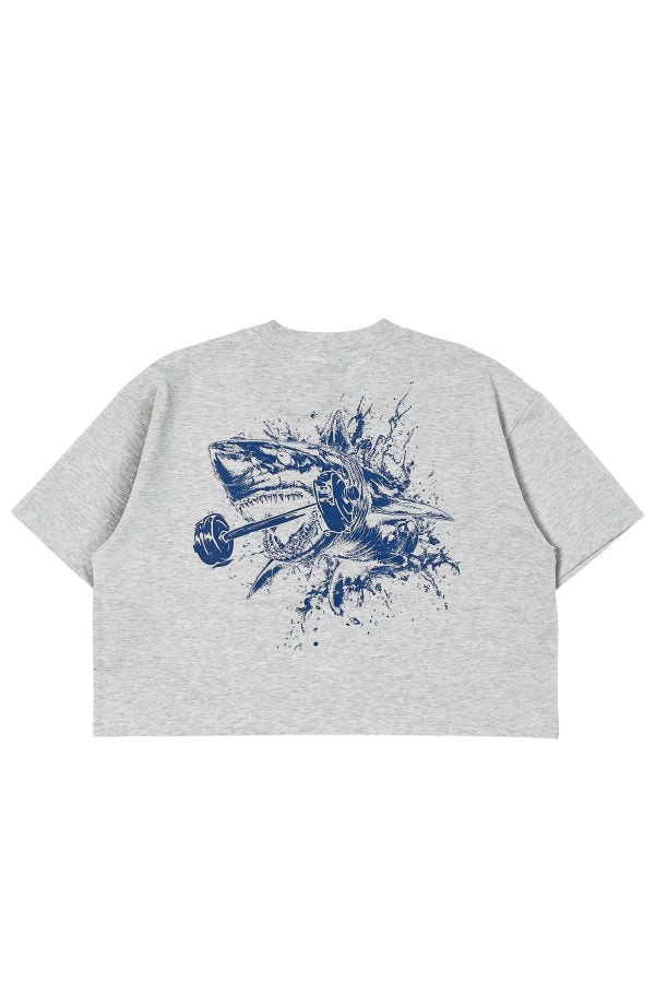 Psychotic Stained Water Cropped Tee – Grey Marl