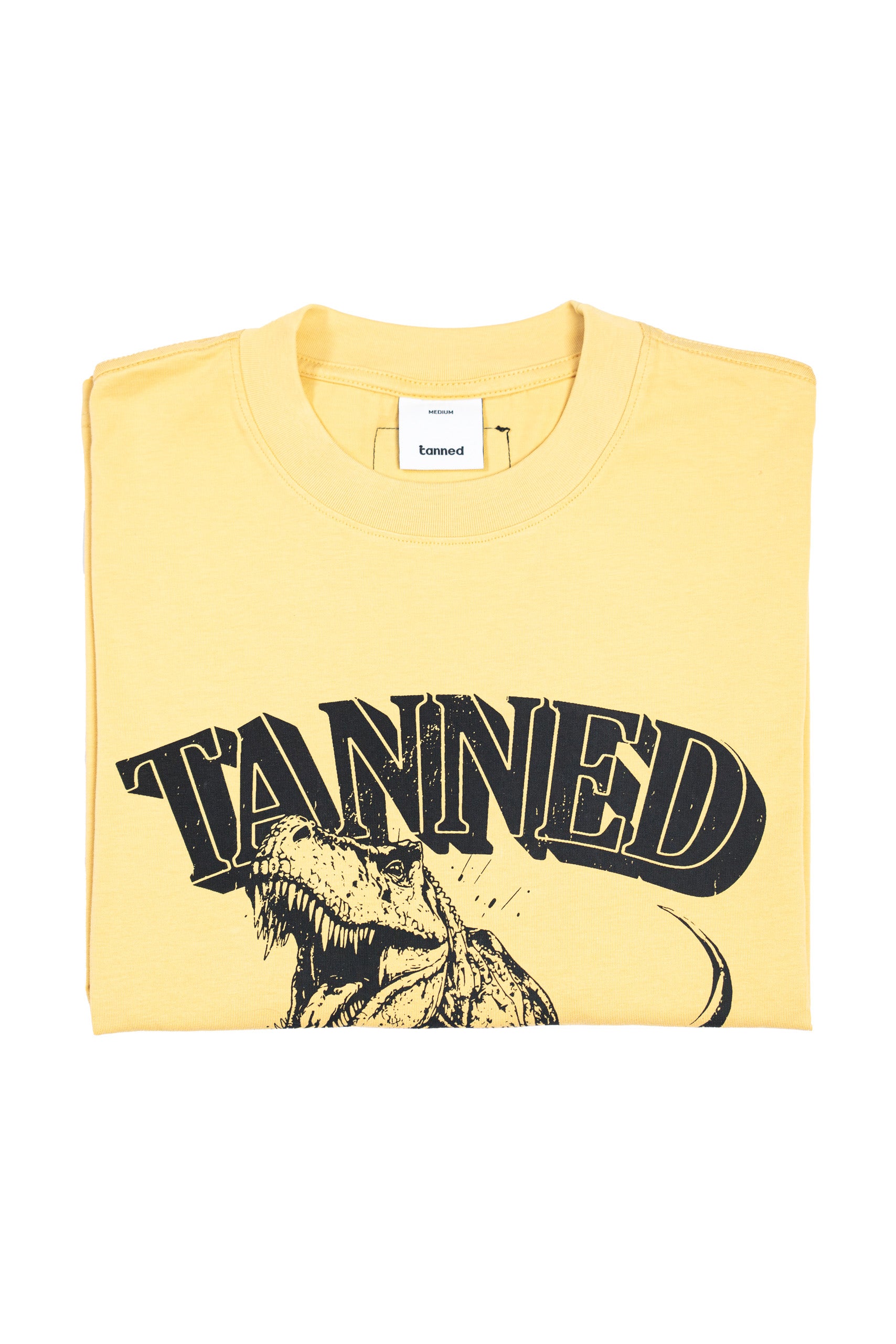 2 Years Strong TANNED GYM Retro Cropped Tee