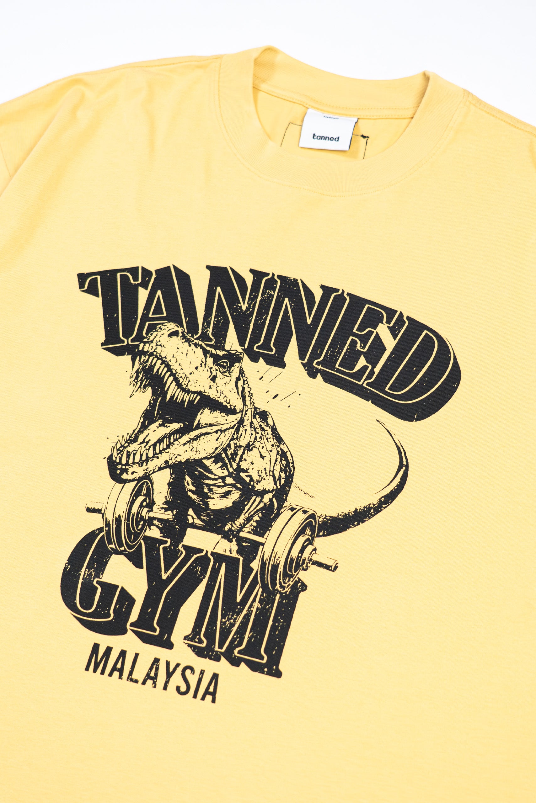 2 Years Strong TANNED GYM Retro Cropped Tee