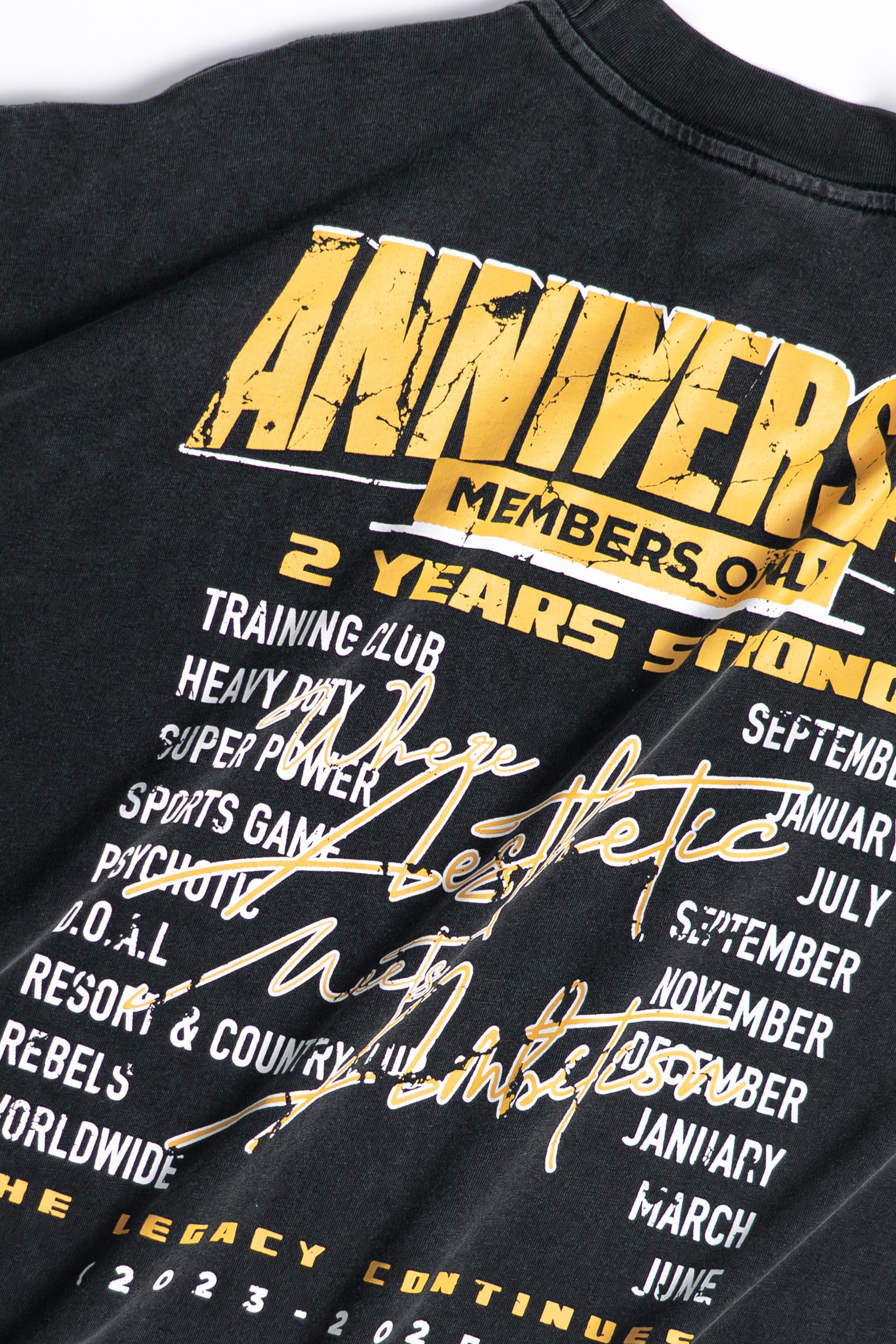 (PRE-ORDER) 2 Years Strong Anniversary Tee